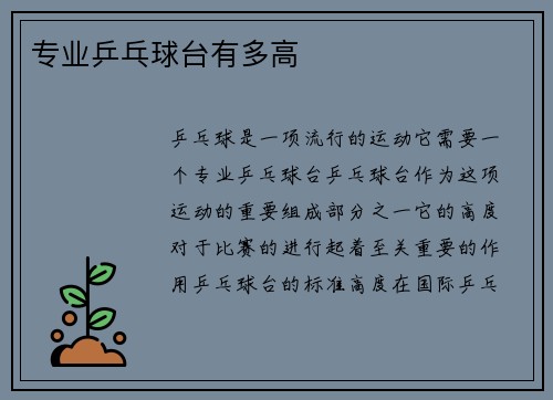 专业乒乓球台有多高