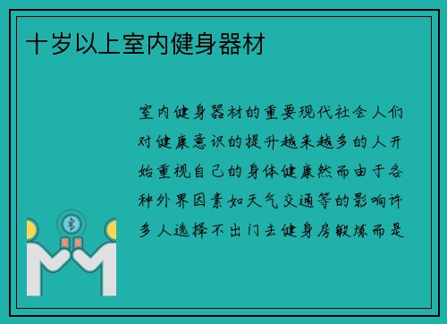 十岁以上室内健身器材